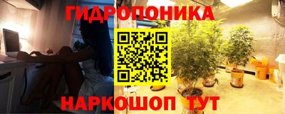 гашишное масло Дубна