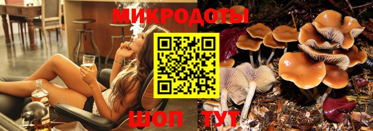 Евпатория  Псилоцибиновые грибы Magic Shrooms  Вход с VPN 