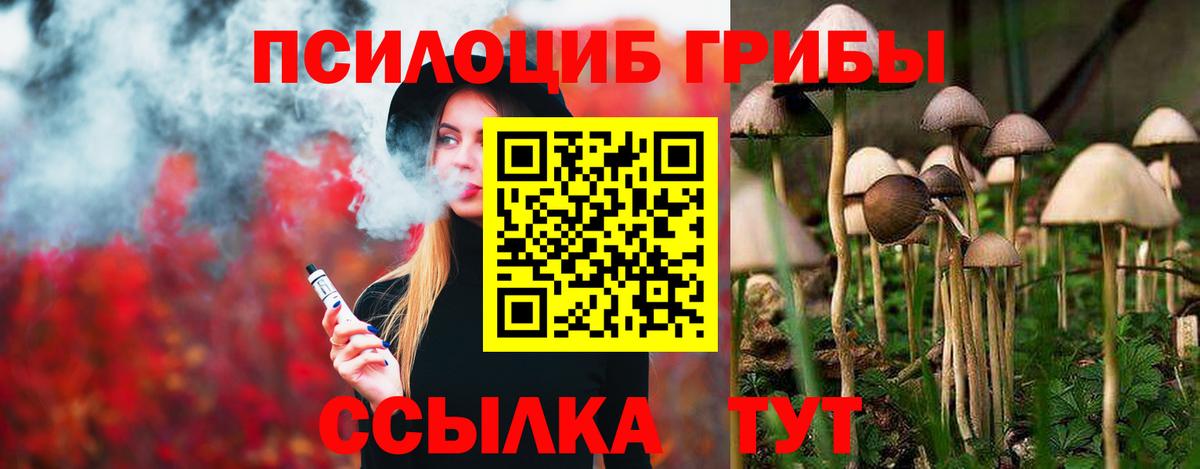 Псилоцибиновые грибы Cubensis Евпатория
